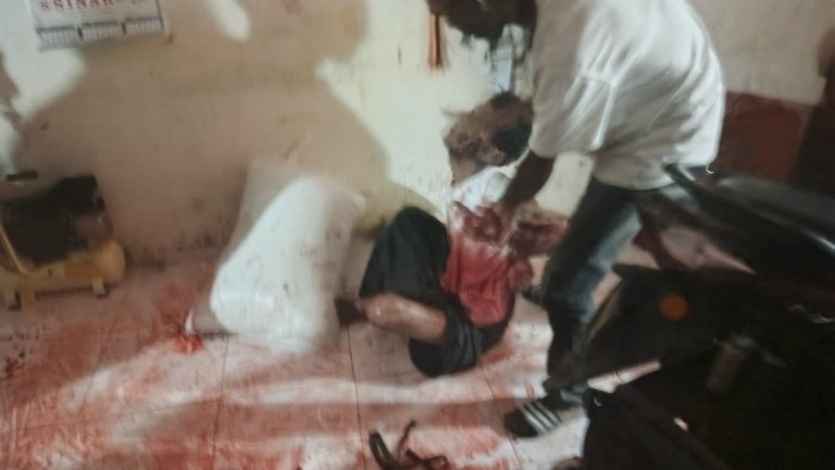 Malam Berdarah di Seunuddon, Ibu dan Anak Diserang Pria Bersenjata Tajam di Dalam Rumah