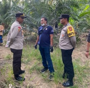 Pria 48 Tahun Ditemukan Meninggal di Bawah Rumah Panggung di Tanah Luas